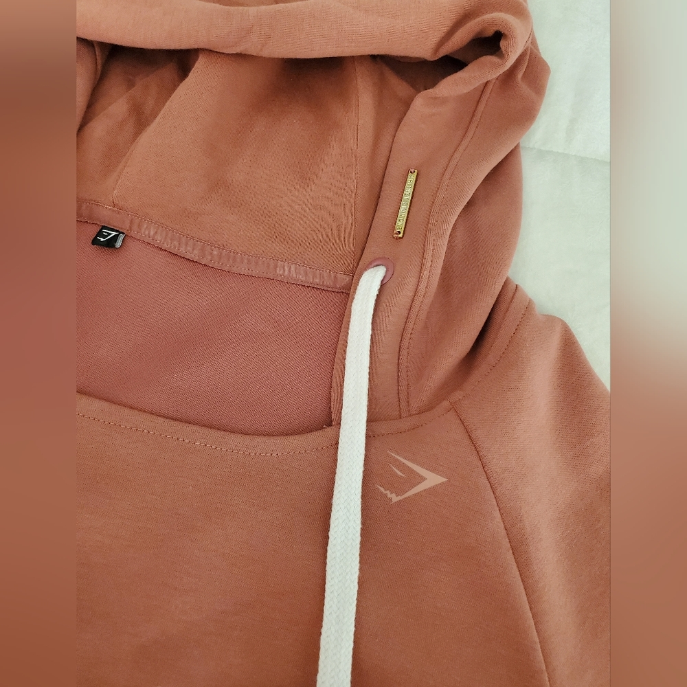 Gymshark Whitney Simmons Moab Brick Hoodie size Small - Picture 5 of 7